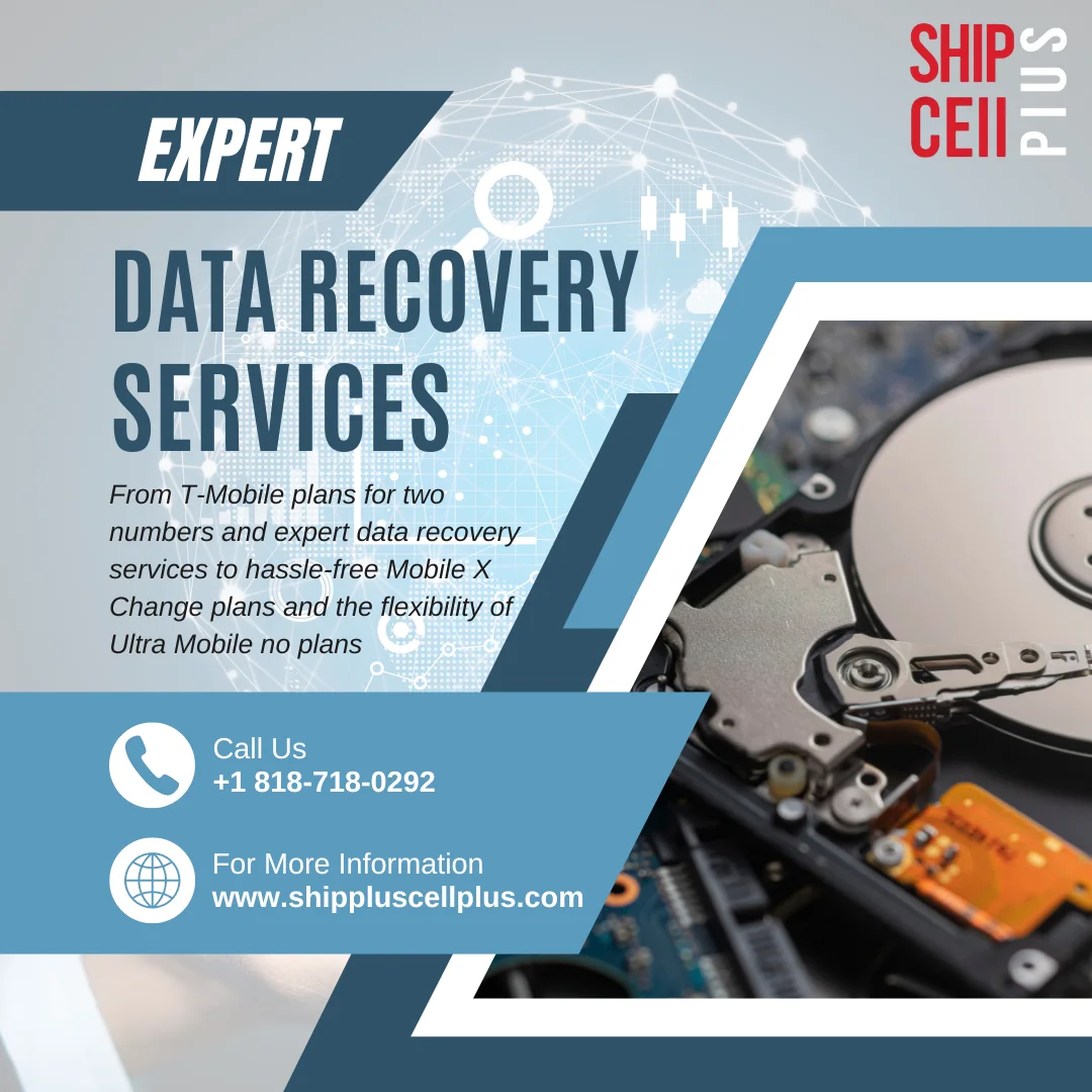 Data Recovery Service